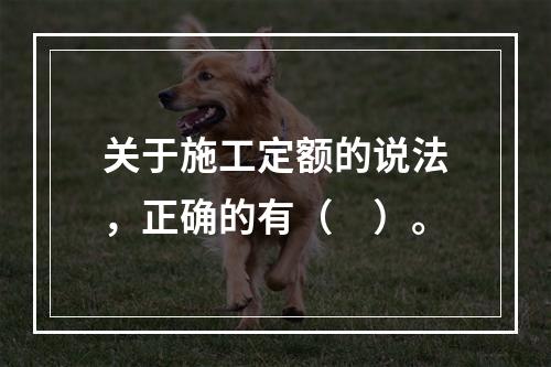 关于施工定额的说法，正确的有（　）。