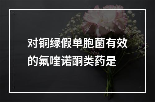 对铜绿假单胞菌有效的氟喹诺酮类药是