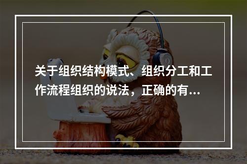 关于组织结构模式、组织分工和工作流程组织的说法，正确的有（　