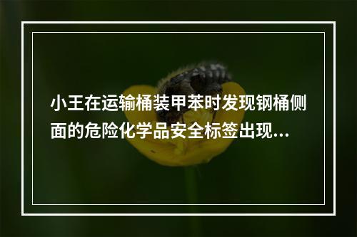 小王在运输桶装甲苯时发现钢桶侧面的危险化学品安全标签出现破损