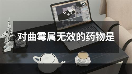 对曲霉属无效的药物是