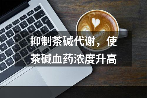 抑制茶碱代谢，使茶碱血药浓度升高