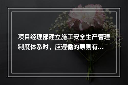 项目经理部建立施工安全生产管理制度体系时，应遵循的原则有（　