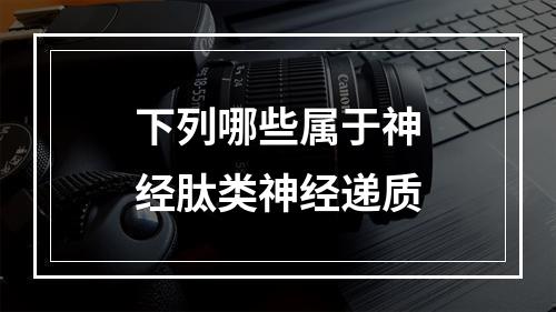 下列哪些属于神经肽类神经递质