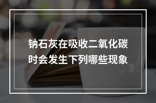 钠石灰在吸收二氧化碳时会发生下列哪些现象