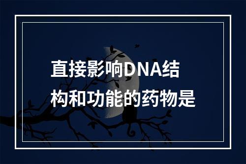 直接影响DNA结构和功能的药物是