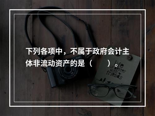 下列各项中，不属于政府会计主体非流动资产的是（　　）。