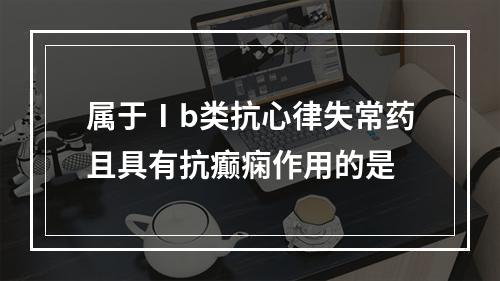 属于Ⅰb类抗心律失常药且具有抗癫痫作用的是