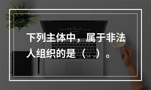 下列主体中，属于非法人组织的是（　）。