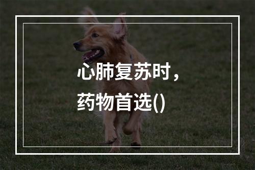 心肺复苏时，药物首选()