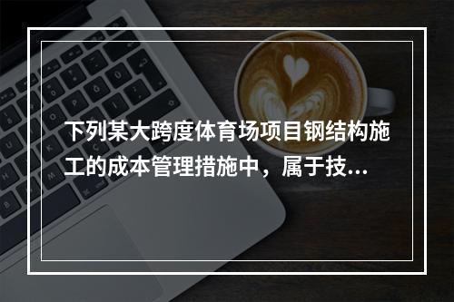 下列某大跨度体育场项目钢结构施工的成本管理措施中，属于技术措