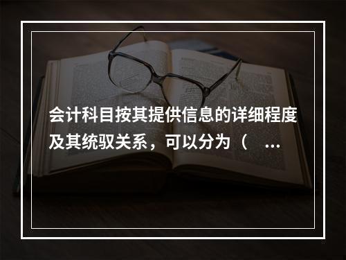 会计科目按其提供信息的详细程度及其统驭关系，可以分为（　　）