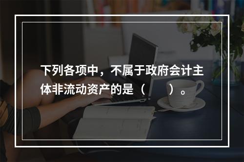 下列各项中，不属于政府会计主体非流动资产的是（　　）。