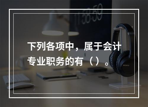 下列各项中，属于会计专业职务的有（ ）。