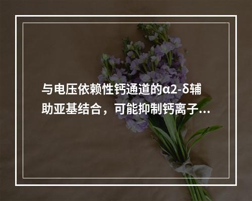 与电压依赖性钙通道的α2-δ辅助亚基结合，可能抑制钙离子内流