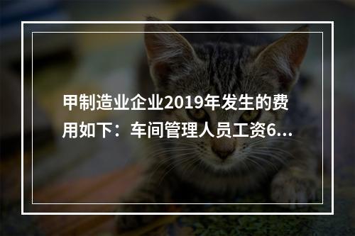 甲制造业企业2019年发生的费用如下：车间管理人员工资60万