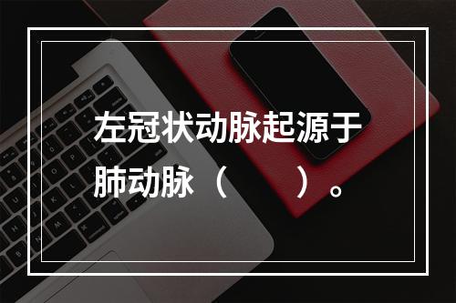 左冠状动脉起源于肺动脉（　　）。