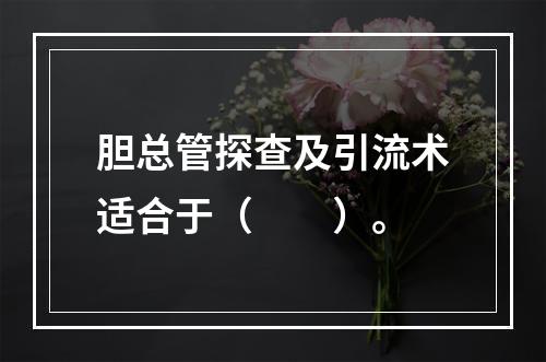 胆总管探查及引流术适合于（　　）。