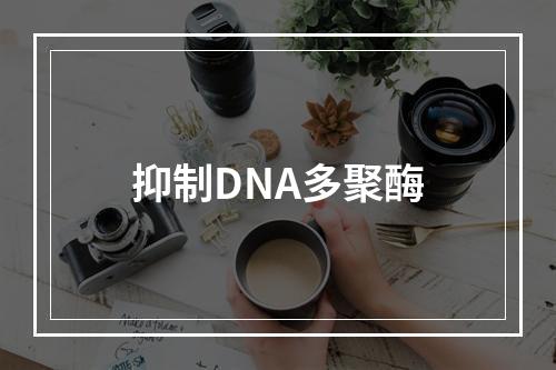 抑制DNA多聚酶