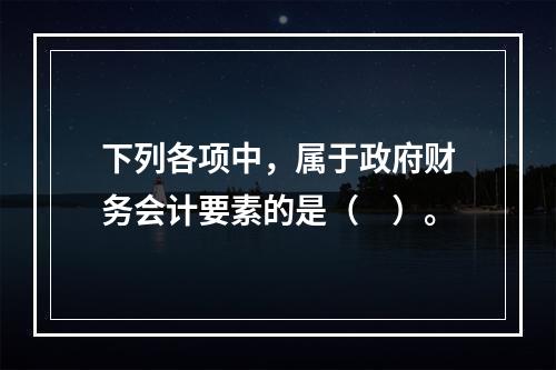 下列各项中，属于政府财务会计要素的是（　）。