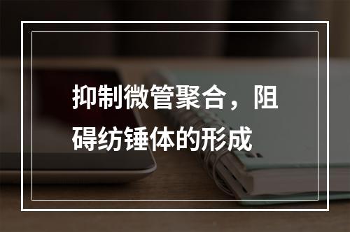 抑制微管聚合，阻碍纺锤体的形成