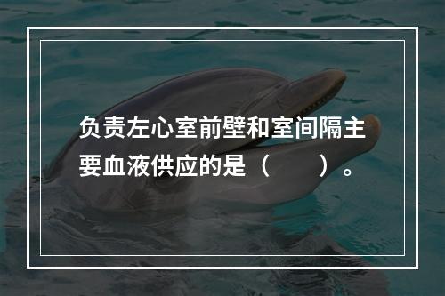 负责左心室前壁和室间隔主要血液供应的是（　　）。