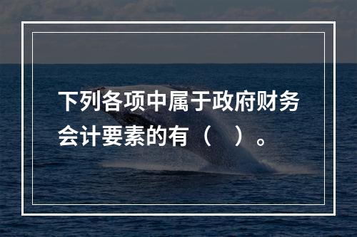 下列各项中属于政府财务会计要素的有（　）。