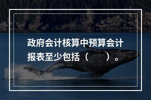 政府会计核算中预算会计报表至少包括（　　）。