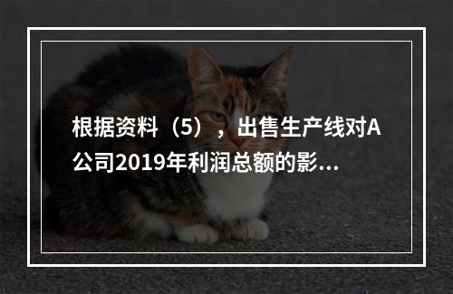 根据资料（5），出售生产线对A公司2019年利润总额的影响金