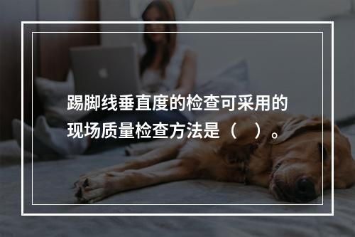 踢脚线垂直度的检查可采用的现场质量检查方法是（　）。