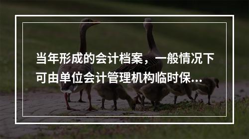 当年形成的会计档案，一般情况下可由单位会计管理机构临时保管（