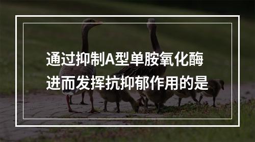 通过抑制A型单胺氧化酶进而发挥抗抑郁作用的是