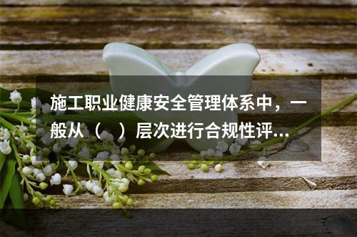 施工职业健康安全管理体系中，一般从（　）层次进行合规性评价。