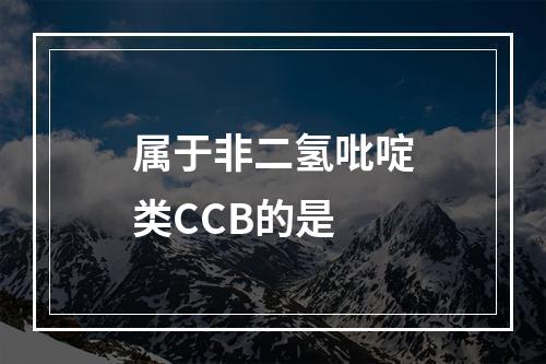 属于非二氢吡啶类CCB的是