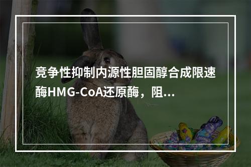 竞争性抑制内源性胆固醇合成限速酶HMG-CoA还原酶，阻断胆