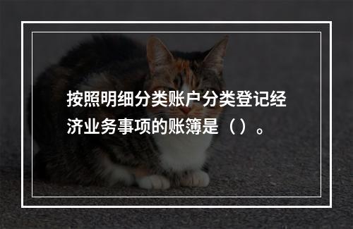 按照明细分类账户分类登记经济业务事项的账簿是（ ）。