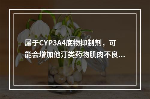 属于CYP3A4底物抑制剂，可能会增加他汀类药物肌肉不良反应