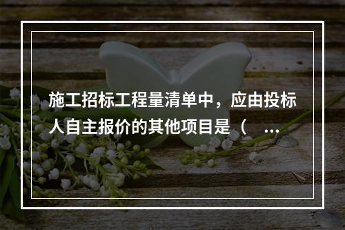 施工招标工程量清单中，应由投标人自主报价的其他项目是（　　