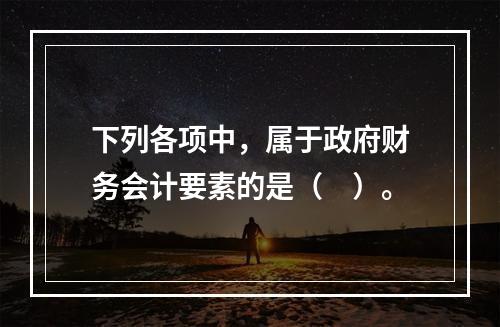 下列各项中，属于政府财务会计要素的是（　）。