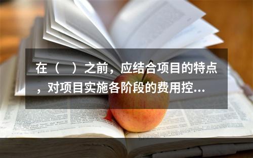 在（　）之前，应结合项目的特点，对项目实施各阶段的费用控制、