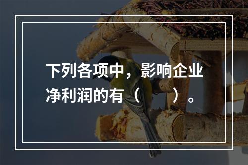 下列各项中，影响企业净利润的有（　　）。