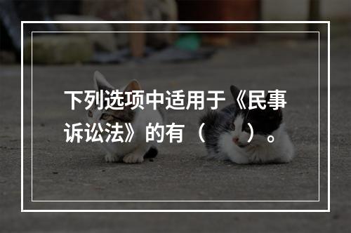 下列选项中适用于《民事诉讼法》的有（　　）。