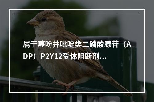 属于噻吩并吡啶类二磷酸腺苷（ADP）P2Y12受体阻断剂的是