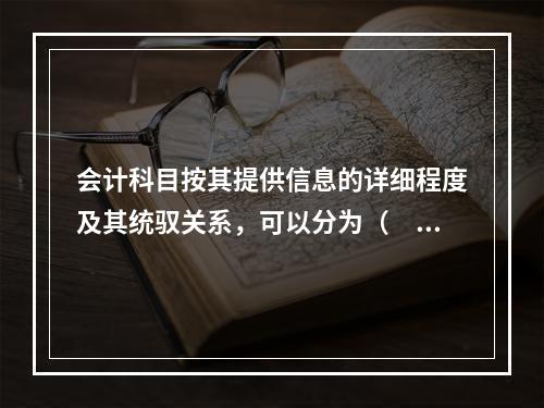 会计科目按其提供信息的详细程度及其统驭关系，可以分为（　　）