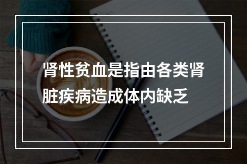 肾性贫血是指由各类肾脏疾病造成体内缺乏