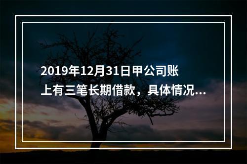 2019年12月31日甲公司账上有三笔长期借款，具体情况如下