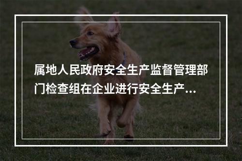 属地人民政府安全生产监督管理部门检查组在企业进行安全生产检查