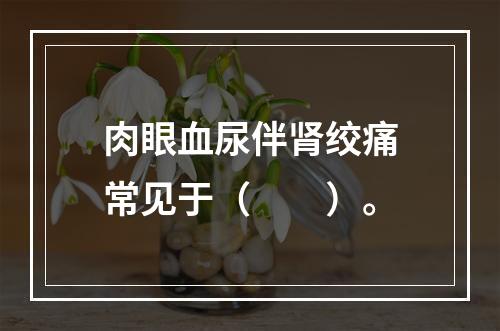 肉眼血尿伴肾绞痛常见于（　　）。