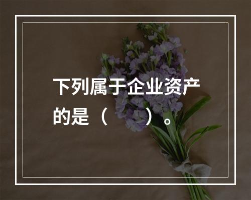 下列属于企业资产的是（　　）。