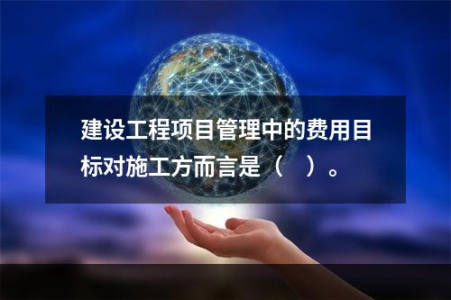 建设工程项目管理中的费用目标对施工方而言是（　）。